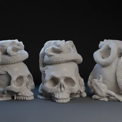 Đồ Ngự Triện Ếch Rắn Đầu Lâu: Tạ Giữ Dây Thắt Lưng Kimono