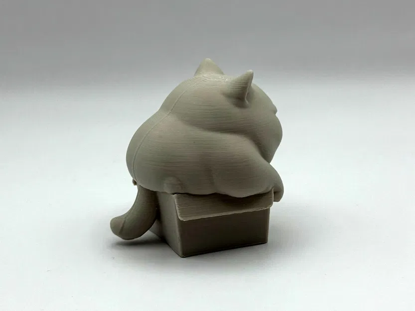 Mèo Ú Trong Hộp Chật Chội - Image 4