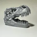 Đầu Khủng Long T-Rex - Thumbnail 1