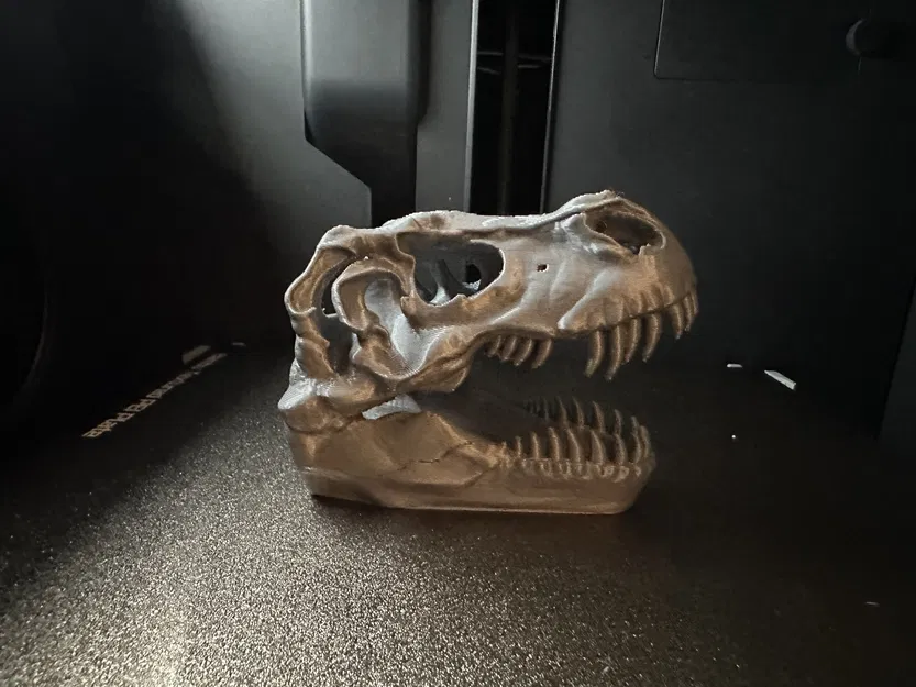 Đầu Khủng Long T-Rex - Image 3