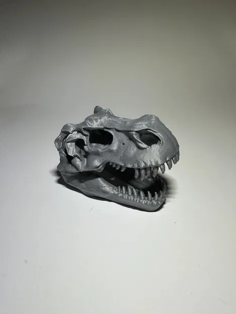 Đầu Khủng Long T-Rex - Image 5