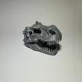 Đầu Khủng Long T-Rex - Thumbnail 8