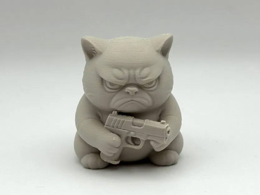 Mèo Khó Tính Cầm Súng - Image 1