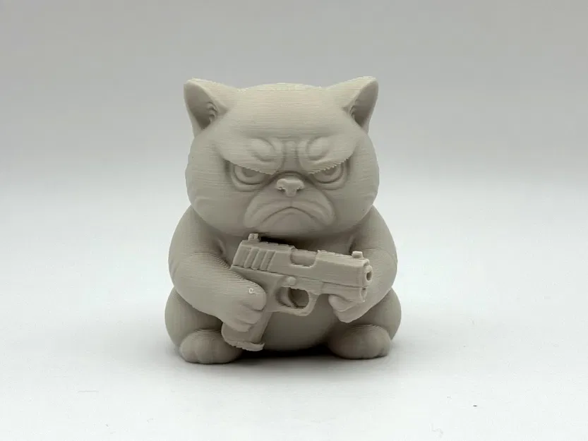 Mèo Khó Tính Cầm Súng - Image 5