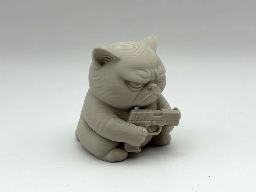 Mèo Khó Tính Cầm Súng - Image 6