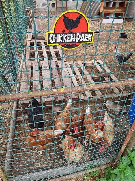 Biển Công Viên Gà - Tách Màu In - Image 2