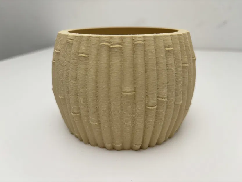 Chậu Tre - Phong Cách Botanic - Trang Trí Nhà Cửa - Image 3