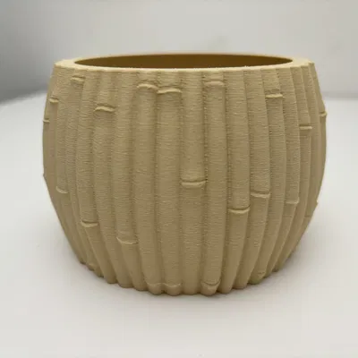 Chậu Tre - Phong Cách Botanic - Trang Trí Nhà Cửa