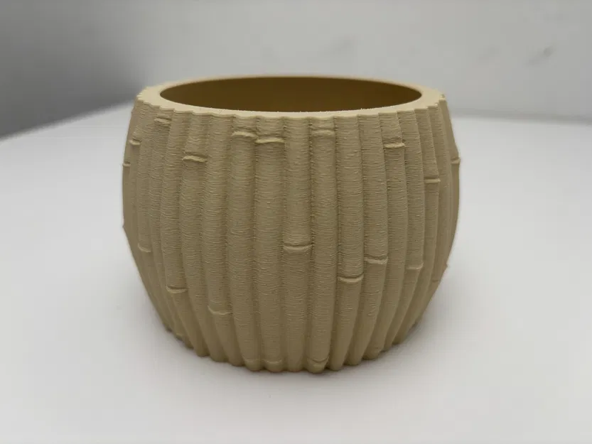 Chậu Tre - Phong Cách Botanic - Trang Trí Nhà Cửa - Image 4