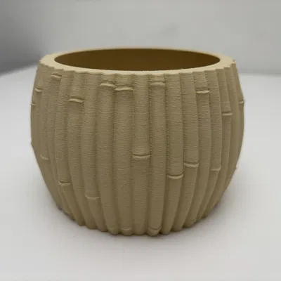 Chậu Tre - Phong Cách Botanic - Trang Trí Nhà Cửa