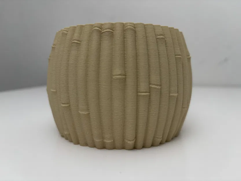 Chậu Tre - Phong Cách Botanic - Trang Trí Nhà Cửa - Image 6