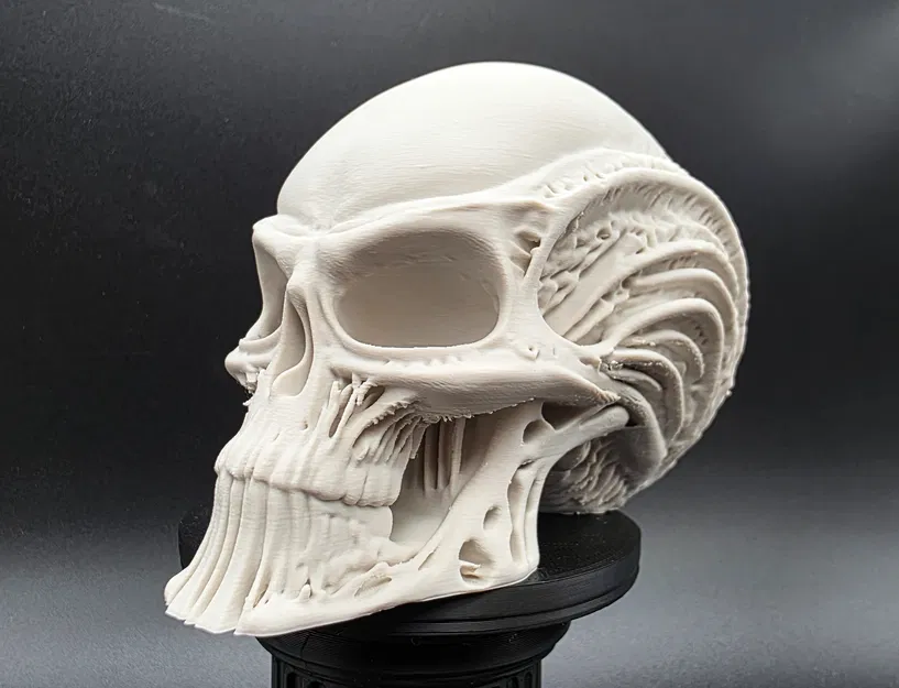 Đầu Người Ngoài Hành Tinh Bộ Xương - Image 1