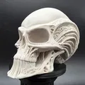 Đầu Người Ngoài Hành Tinh Bộ Xương - Thumbnail 1