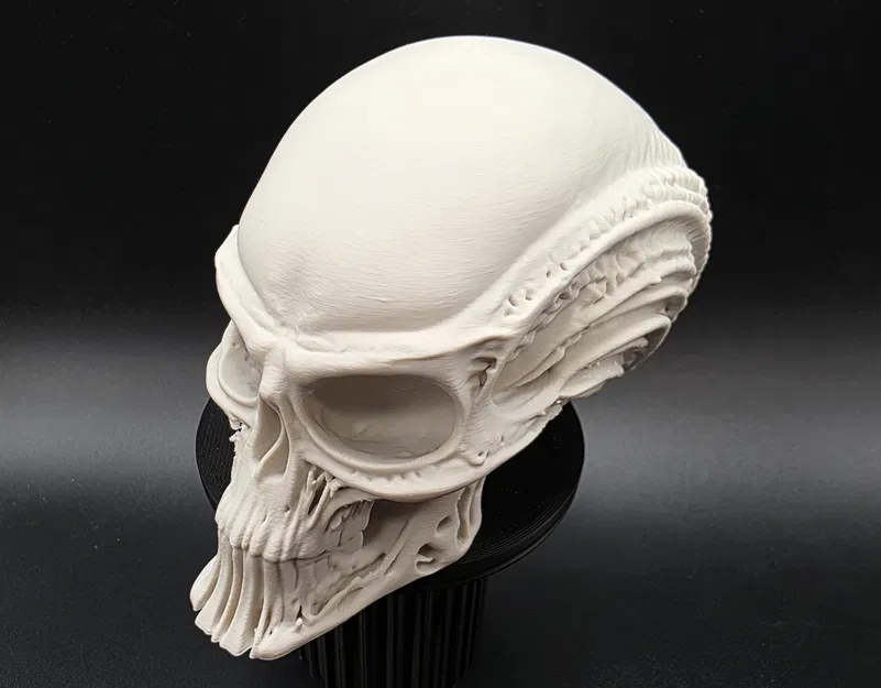 Đầu Người Ngoài Hành Tinh Bộ Xương - Image 3