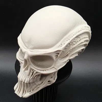 Đầu Người Ngoài Hành Tinh Bộ Xương