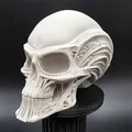 Đầu Người Ngoài Hành Tinh Bộ Xương - Thumbnail 4