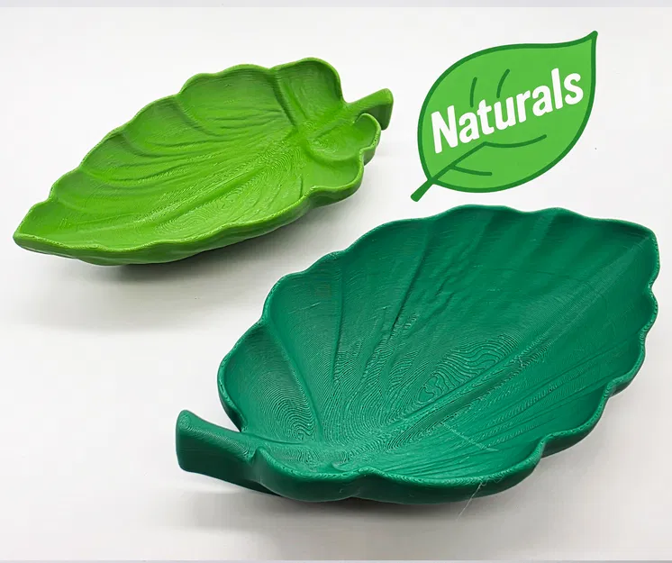 Khay Lá Dày - Bộ Sưu Tập Naturals (Đáy Bằng) - Image 1