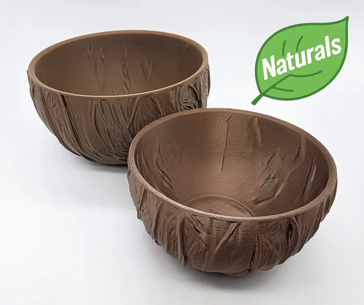 Tô Dừa - Bộ Sưu Tập Tự Nhiên (Đáy Phẳng) - Image 1