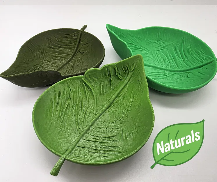 Khay Lá Sâu - Bộ Sưu Tập Naturals (Đáy Phẳng) - Image 1