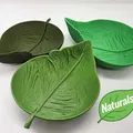 Khay Lá Sâu - Bộ Sưu Tập Naturals (Đáy Phẳng) - Thumbnail 1