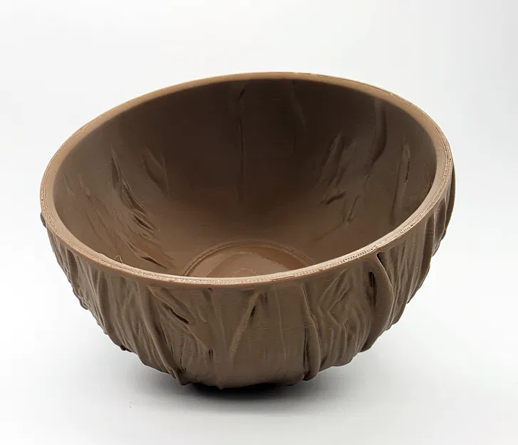 Tô Dừa - Bộ Sưu Tập Tự Nhiên (Đáy Phẳng) - Image 2