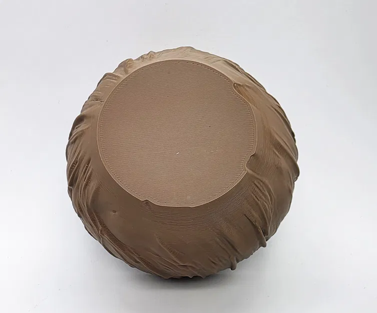 Tô Dừa - Bộ Sưu Tập Tự Nhiên (Đáy Phẳng) - Image 3