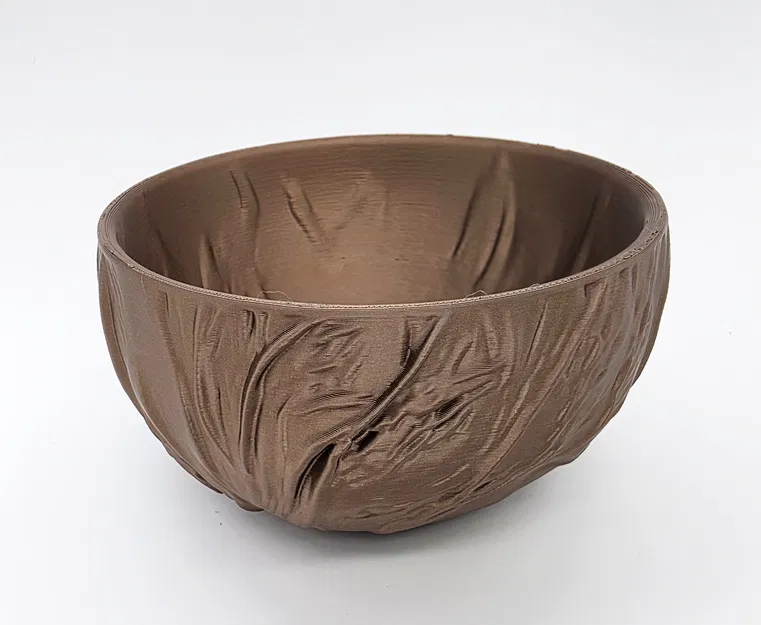 Tô Dừa - Bộ Sưu Tập Tự Nhiên (Đáy Phẳng) - Image 5