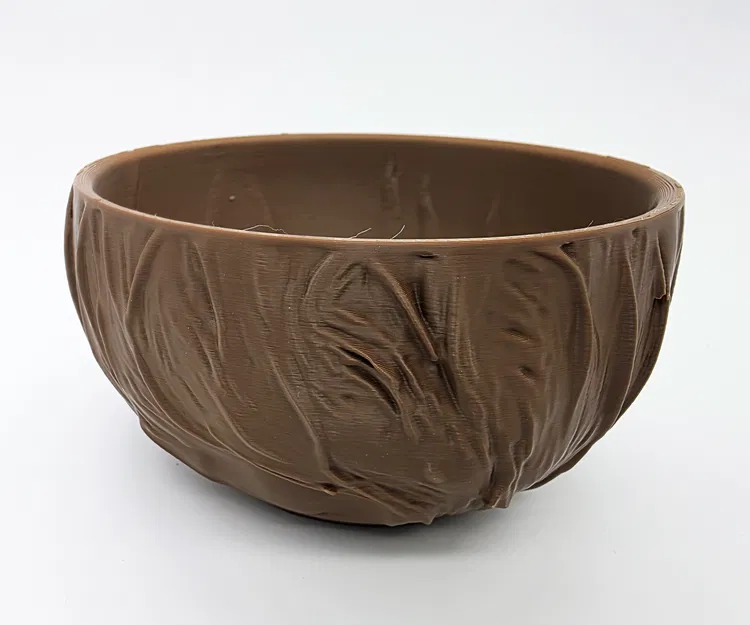 Tô Dừa - Bộ Sưu Tập Tự Nhiên (Đáy Phẳng) - Image 7