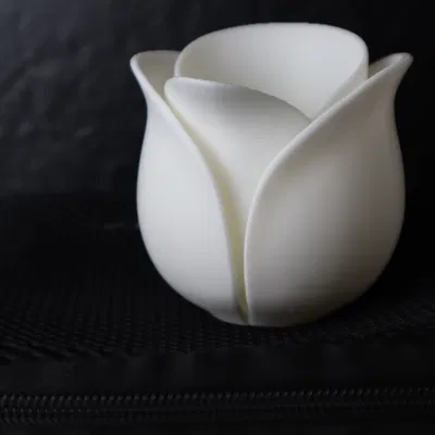 Chậu Tulip Hiện Đại – Chậu Hoa Thanh Lịch Cho Trang Trí Nhà Cửa BotanyChic