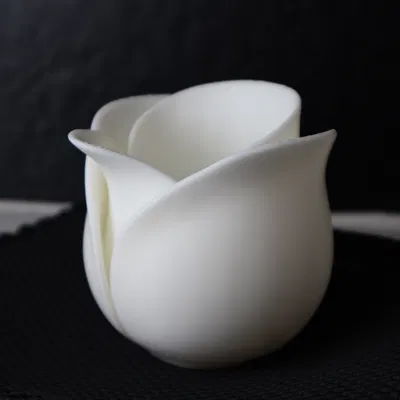 Chậu Tulip Hiện Đại – Chậu Hoa Thanh Lịch Cho Trang Trí Nhà Cửa BotanyChic