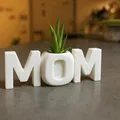 Chậu Cây Chữ MOM - Quà Tặng 8/3 Ý Nghĩa - Thumbnail 1