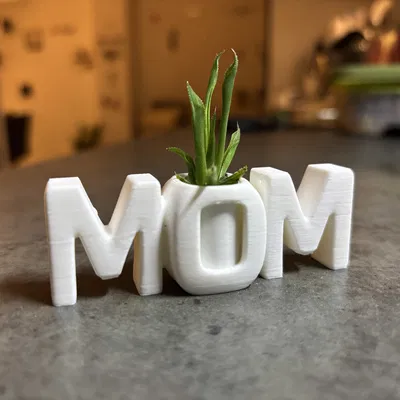 Chậu Cây Chữ MOM - Quà Tặng 8/3 Ý Nghĩa