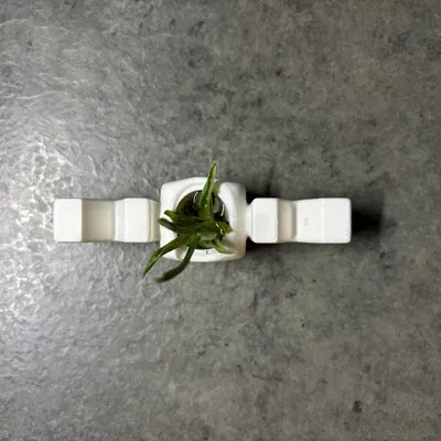 Chậu Cây Chữ MOM - Quà Tặng 8/3 Ý Nghĩa