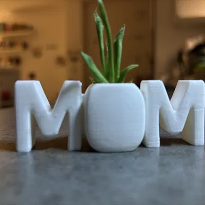 Chậu Cây Chữ MOM - Quà Tặng 8/3 Ý Nghĩa