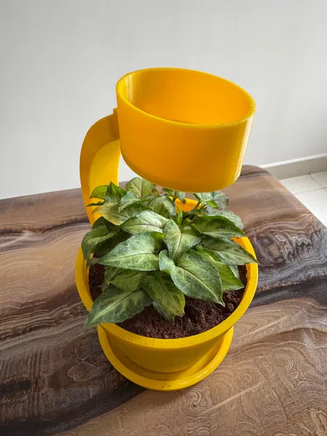 Chậu Cây Mưa "Rain Planter" – Tưới Nước Vui Vẻ, Cây Khỏe Mạnh - Image 3