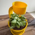 Chậu Cây Mưa "Rain Planter" – Tưới Nước Vui Vẻ, Cây Khỏe Mạnh - Thumbnail 3