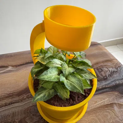 Chậu Cây Mưa "Rain Planter" – Tưới Nước Vui Vẻ, Cây Khỏe Mạnh