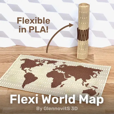 Bản đồ Thế giới Dẻo (Flexi World Map)