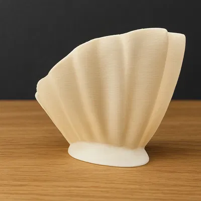 Tô Vỏ Sò Hài Hòa – Trang Trí Nhà Cửa Thiết Kế Hữu Cơ