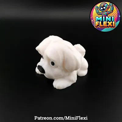 Chó Maltese Mini Flexi - Không Cần Support