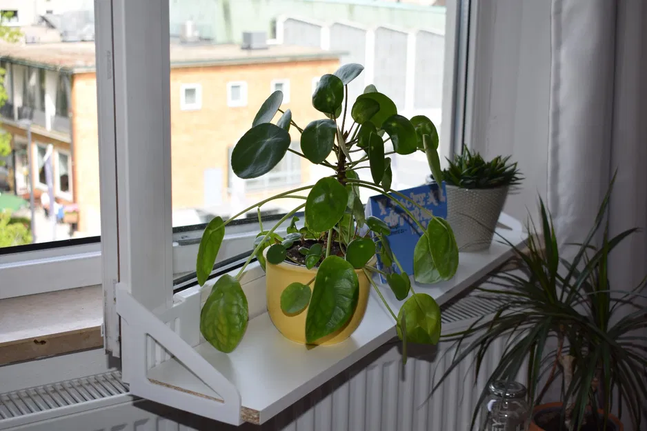 Giá đỡ bệ cửa sổ di động (hay Frischluft) - Image 1