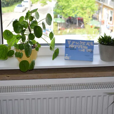 Giá đỡ bệ cửa sổ di động (hay Frischluft)