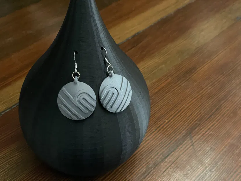 Bông Tai Đĩa Vòng & Đường Line - Image 3