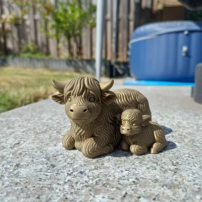 Bò Mẹ Cao Nguyên Cùng Bê Con