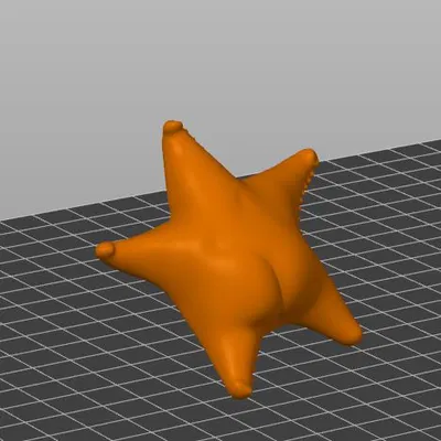 Mô Hình Sao Biển "Estrella de mar culona" Độc Đáo