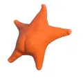 Mô Hình Sao Biển "Estrella de mar culona" Độc Đáo - Thumbnail 2