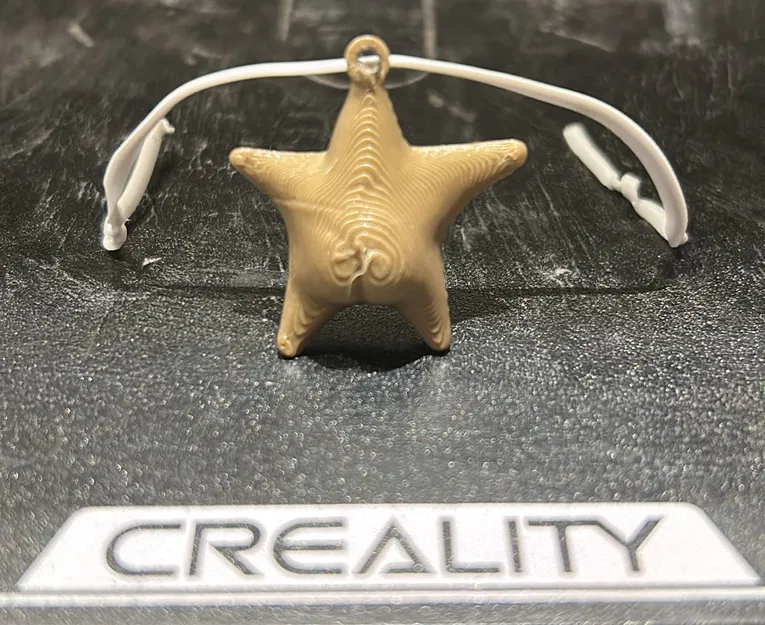 Móc Khóa Sao Biển "Argentina Hông" (Estrella de mar culona argentina llavero) - Image 1