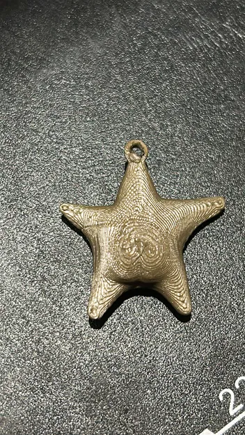 Móc Khóa Sao Biển "Argentina Hông" (Estrella de mar culona argentina llavero) - Image 2