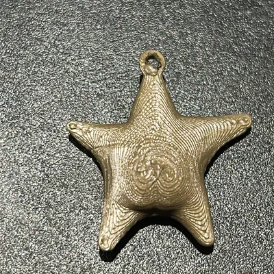 Móc Khóa Sao Biển "Argentina Hông" (Estrella de mar culona argentina llavero)