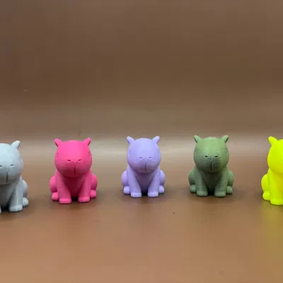 Kapi Capybara – Tròn Trĩnh, Điềm Đạm và Luôn Thư Giãn